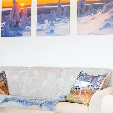 Kaarina * 罗瓦涅米