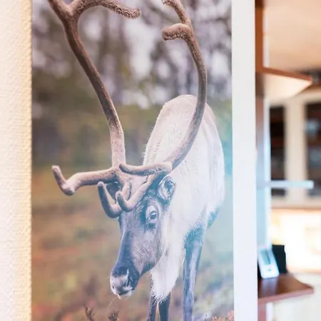 Willa Kaarina Rovaniemi